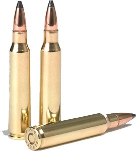 a223sp_shells.jpg