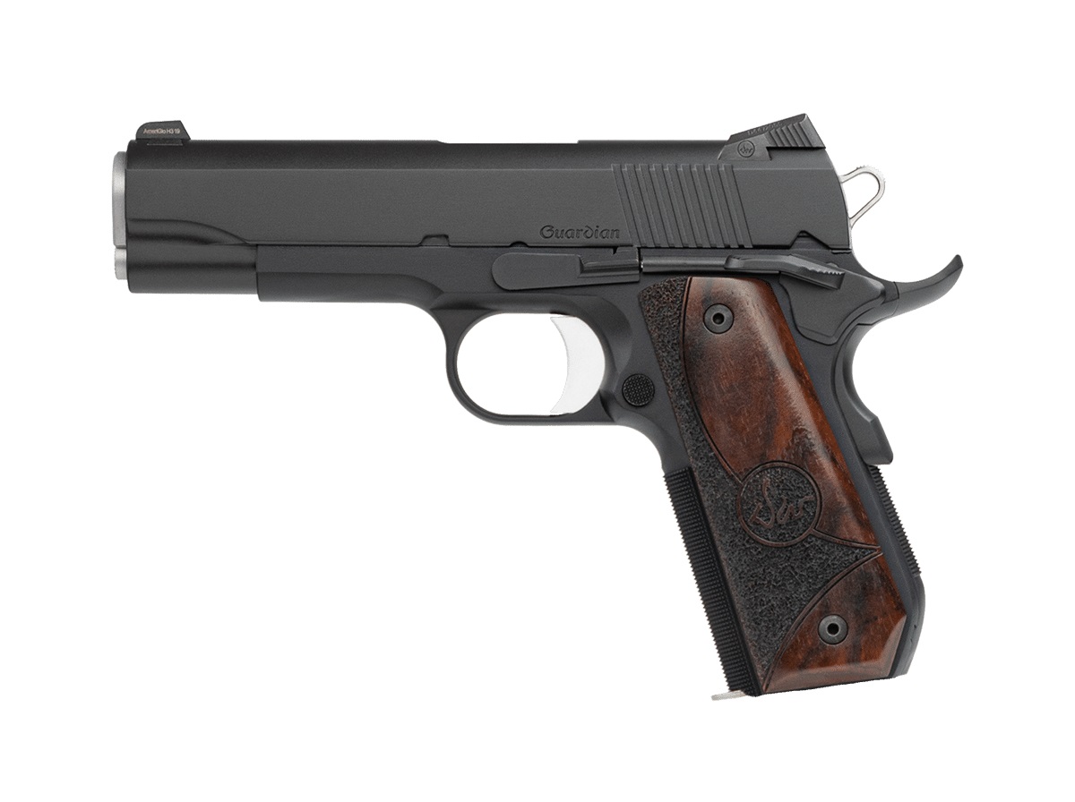 Dan Wesson Guardian .45 ACP Pistol with Night Sights