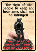 Rivers Edge Right to Bear Arms Tin Sign 12"x17"