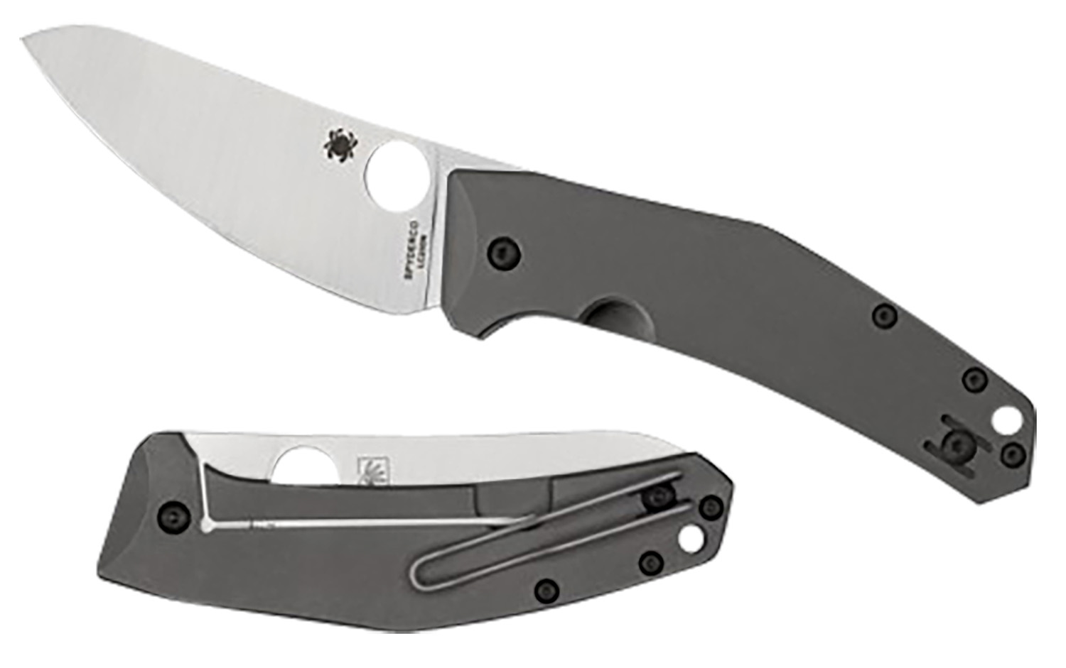 Spyderco SpydieChef Salt Folding Knife LC200N