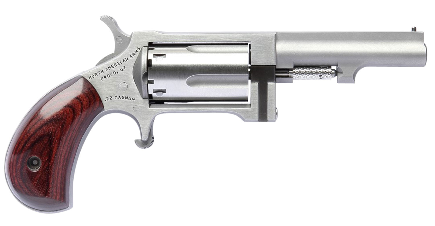 NAA Sidewinder .22WMR Revolver - 2.5" Stainless