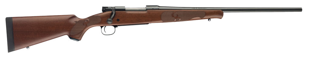 Winchester Model 70 Featherweight Compact .243 Rifle