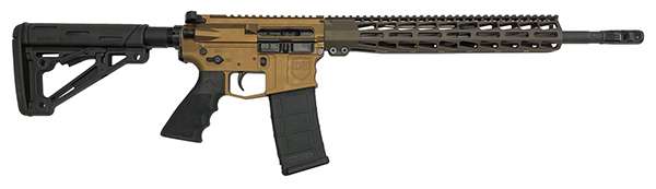 Dark Storm DS15 Typhoon 5.56 NATO Bolt Action Rifle