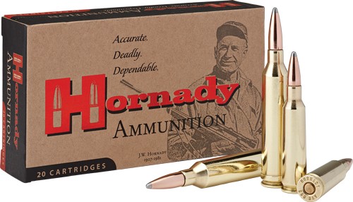 AHDY8132.jpg