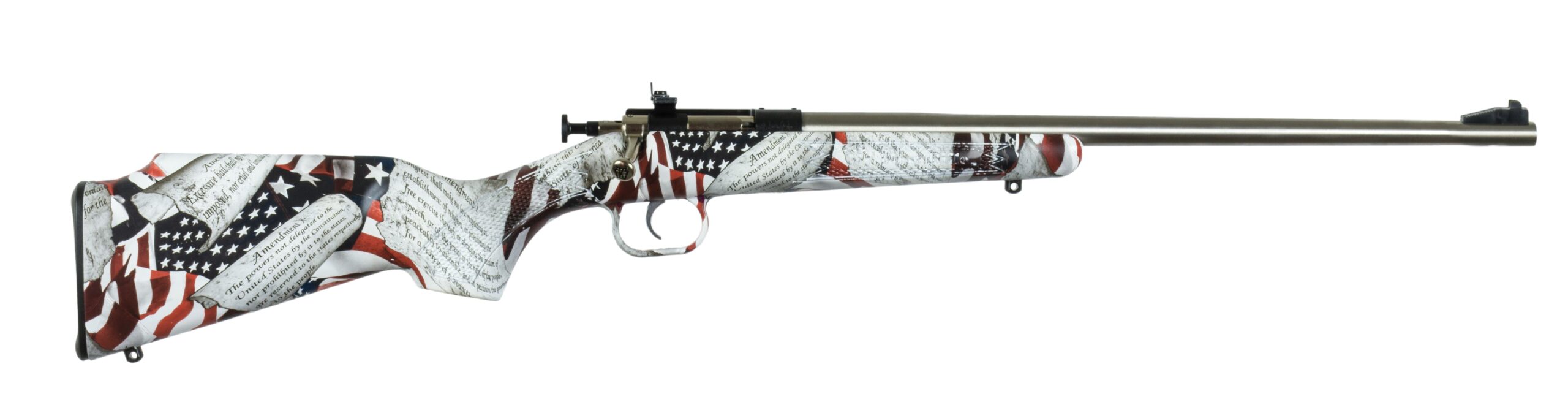Davey Crickett G2 .22LR Stainless Youth Bolt Action Rifle
