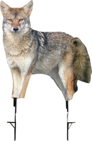Montana Decoy Coyote Song Dog Hunting Decoy