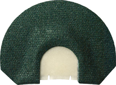 P224.jpg