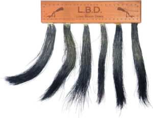 Pittman Multi Turkey Beard Mount Display