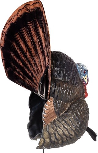 fgdcoy00316_back-angle.jpg