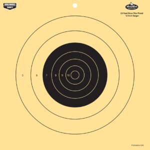 Birchwood Casey Dirty Bird 12" 25 Yard Pistol Reactive Target 12/ct