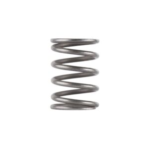 Dead Air Piston Spring for Ghost Odessa & Mojave 9
