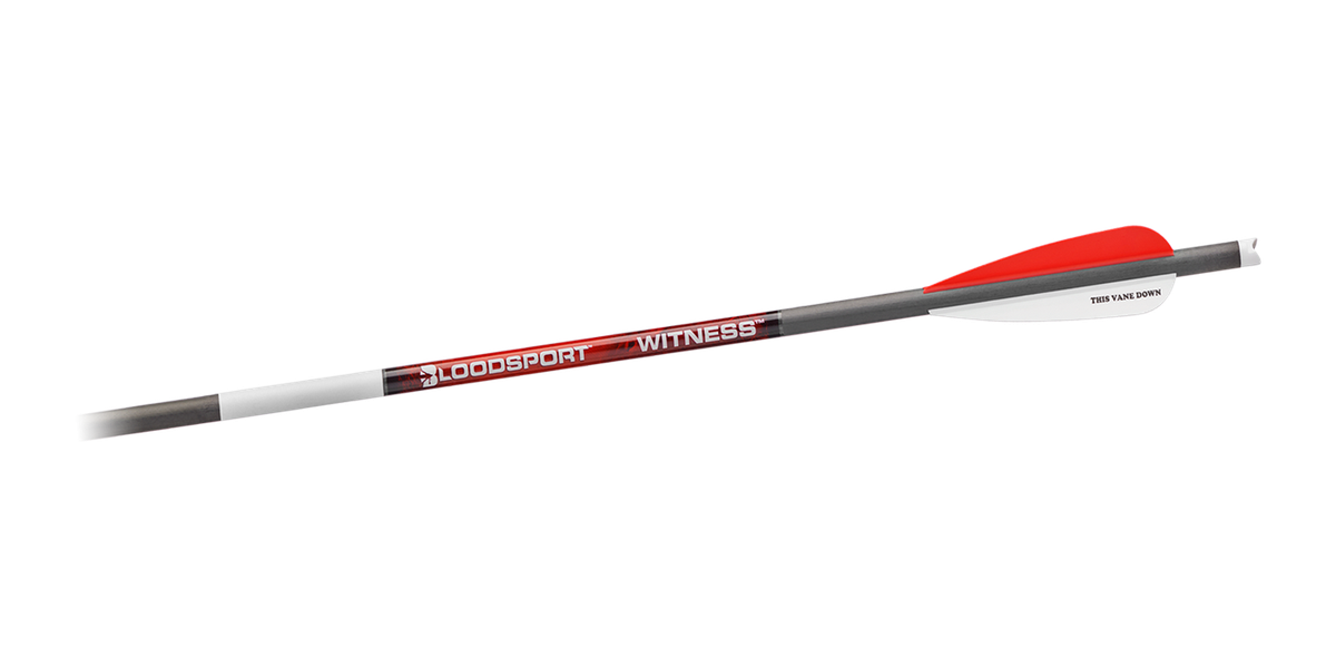Bloodsport Witness Crossbow Bolt 22" 300 Spine 6/pk