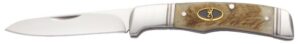 Browning Joint Venture 3" Pocket Knife - Sheep Horn Handle