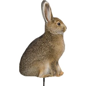 Montana Decoy Miss Hoptober Coyote Decoy