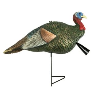 Grind Half Strut Jake Turkey Decoy by Rock Ridge Outdoors