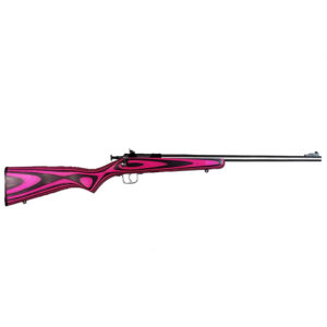 Keystone Crickett .22 LR Stainless Youth Rifle