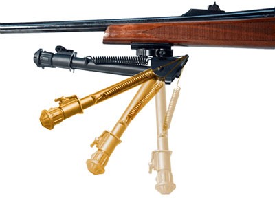 tlbp78q-fold.jpg