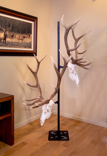 trophytree_3.jpg