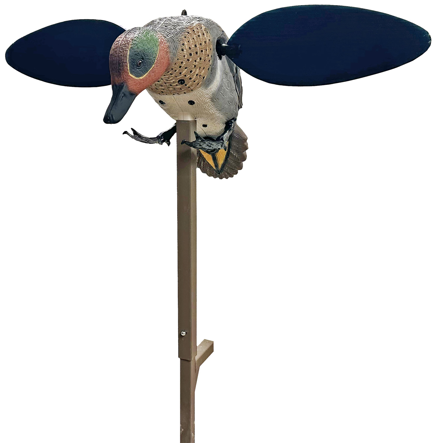 Mojo Outdoors HW2555 Green Winged Teal Teal Species