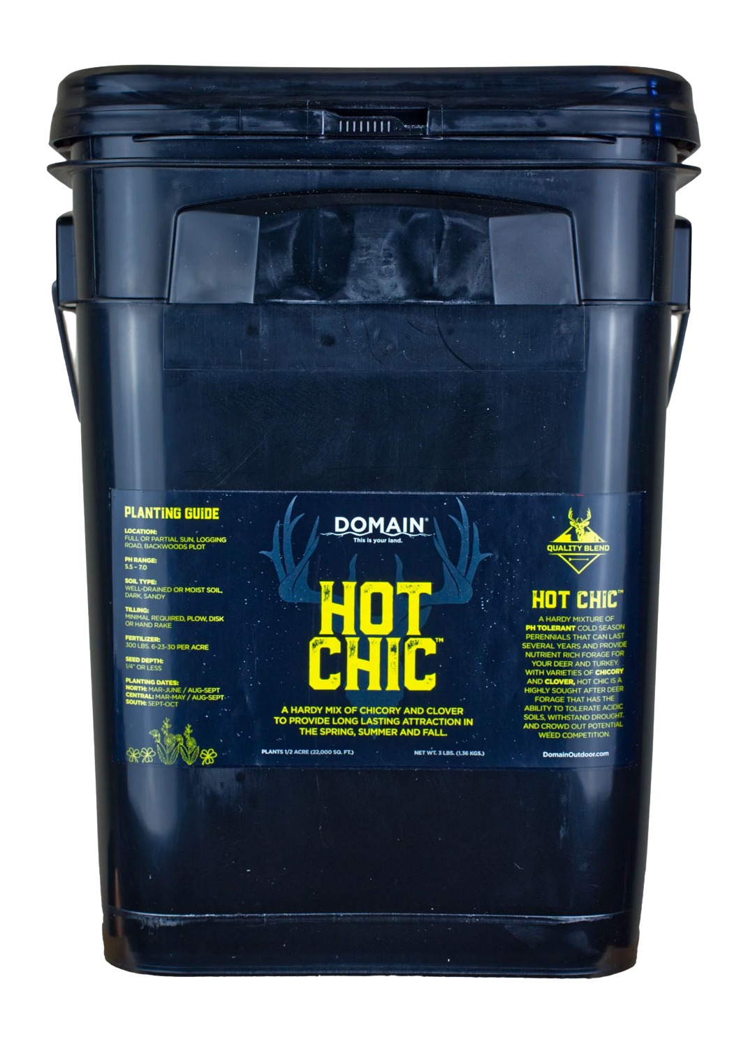 DOMAIN HCFP34      HOT CHIC