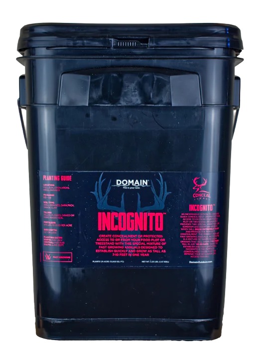DOMAIN INCFP325    INCOGNITO