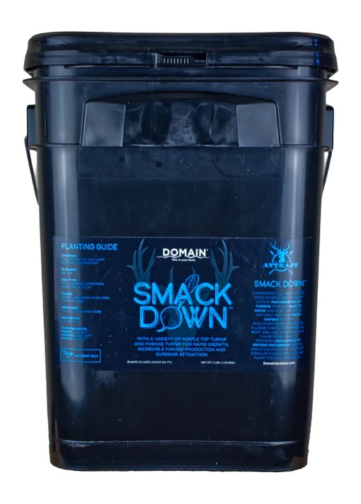 DOMAIN SDFP3       SMACK DOWN