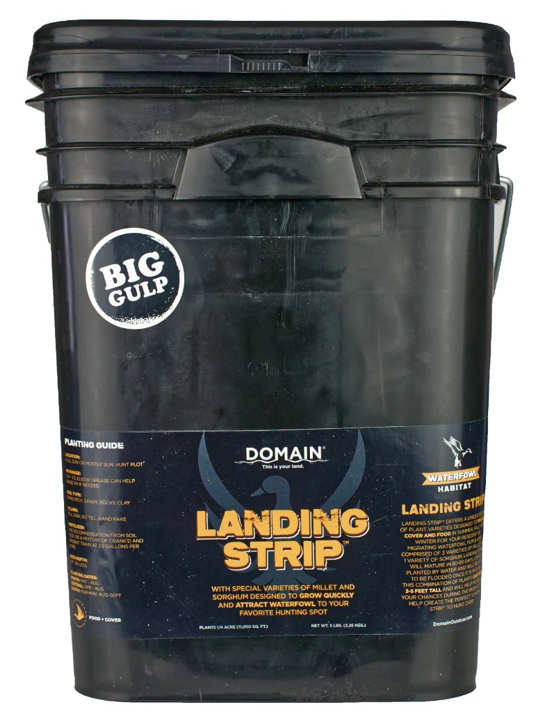 DOMAIN LSFP5       LANDING STRIP