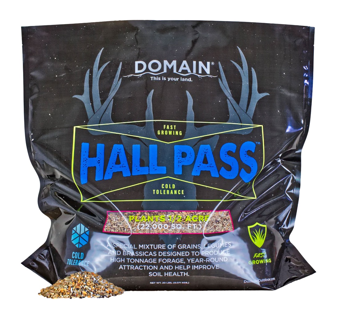 DOMAIN HPFP20      HALL PASS