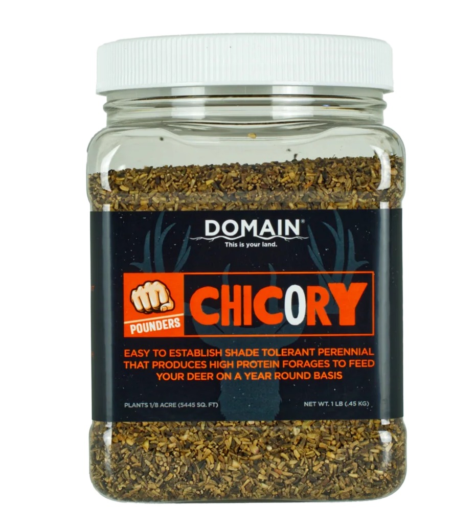 DOMAIN DCS1LB POUNDER - CHICORY