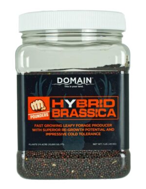 DOMAIN DHBS1LB     POUNDER - HYBRID BRASSICA