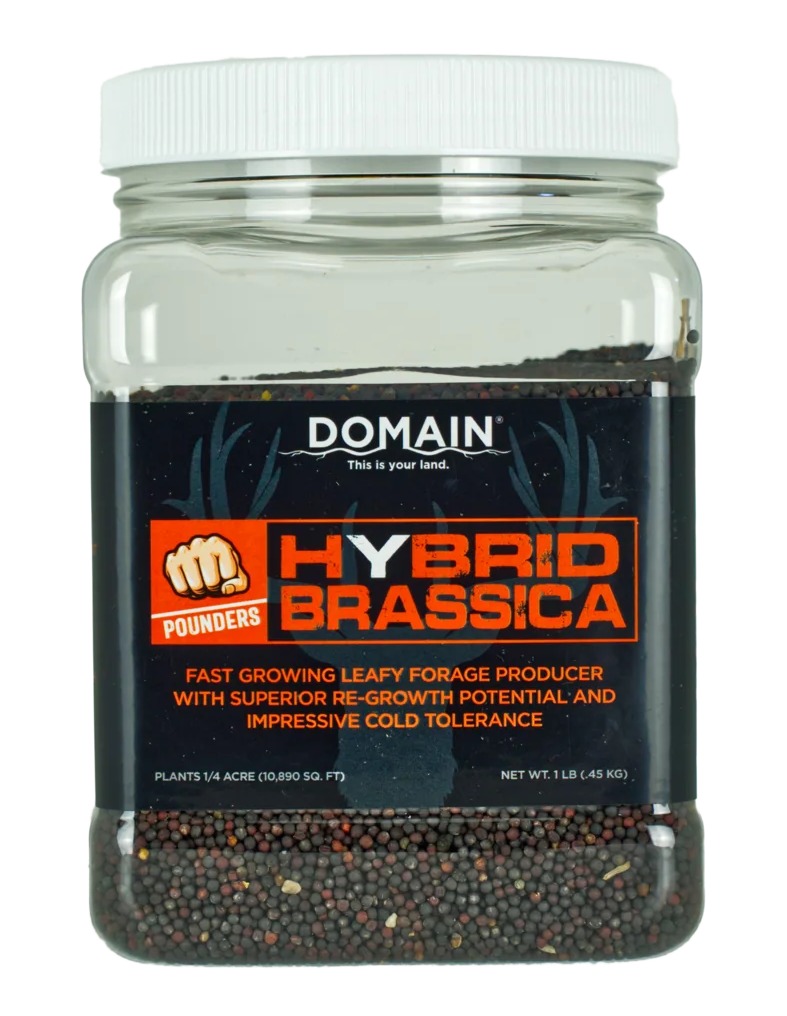 DOMAIN DHBS1LB POUNDER - HYBRID BRASSICA