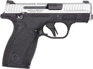 Smith & Wesson BG2.0 .380 ACP 12-Round Pistol