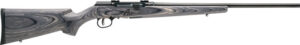 Savage A17 Sporter .17 WSM Semi-Auto Rifle 22"