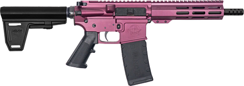 Great Lakes GLFA AR-15 Pistol with Brace .223 Wylde 7.5" Black Cherry