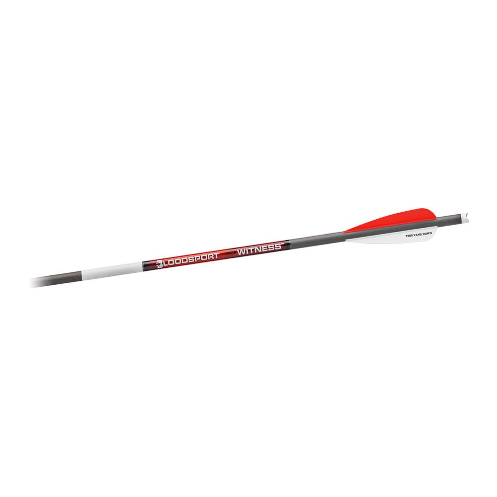 Bloodsport Witness Crossbow Bolt 20" 300 Spine 6/ct