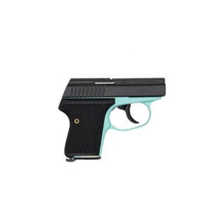 Seecamp LWS-380 380 ACP Handgun - Robin's Egg Blue