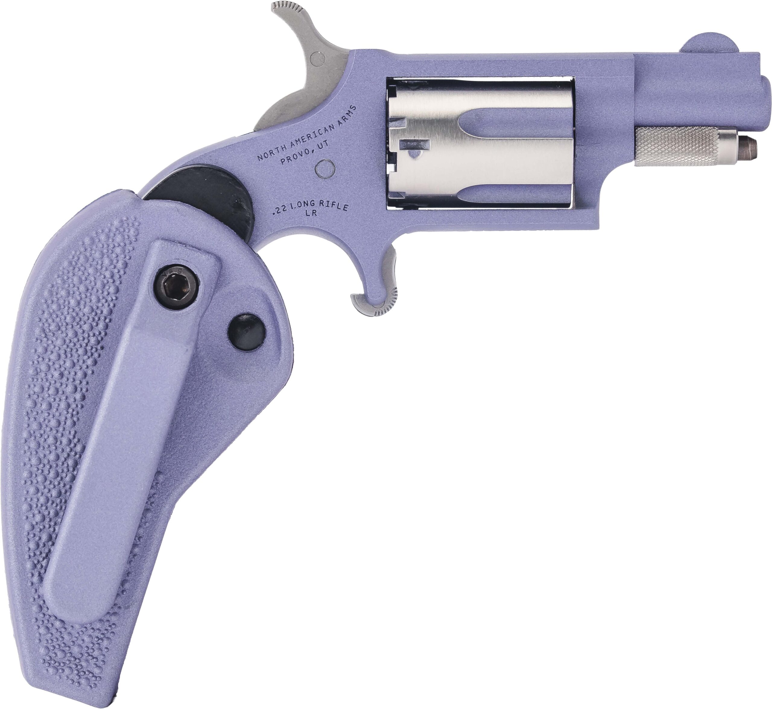 NAM MINI-REV 22LR 1.125SS OCHG