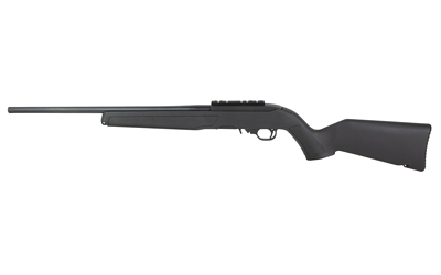 RUG 10/22 22LR 18 BLK RL 10RD